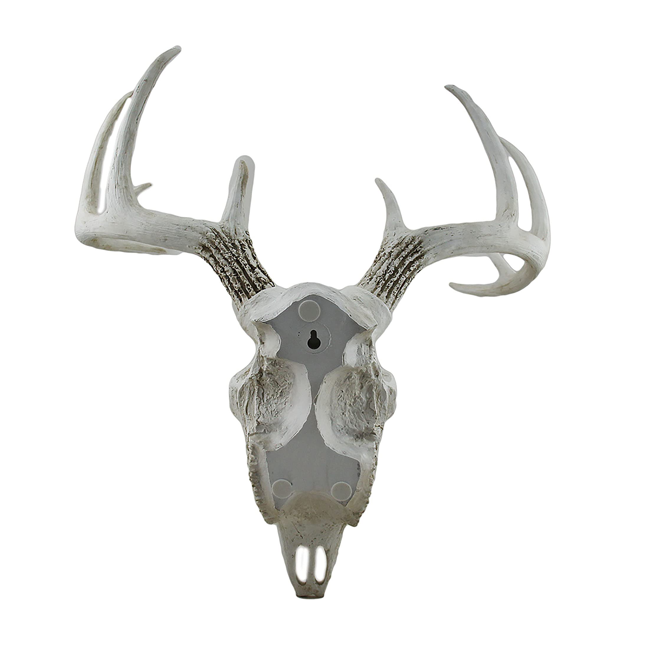 Amazon.com: Zeckos 裝飾花絲設計懸掛鹿頭骨雕像17 英吋: 居家與廚房